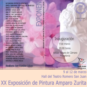 cartel-xx-Amparo-Zurita_redes
